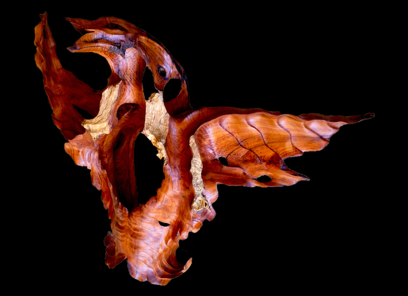 Phoenix the Fire Bird Rising..Carved from Budgroo by Guy Breay